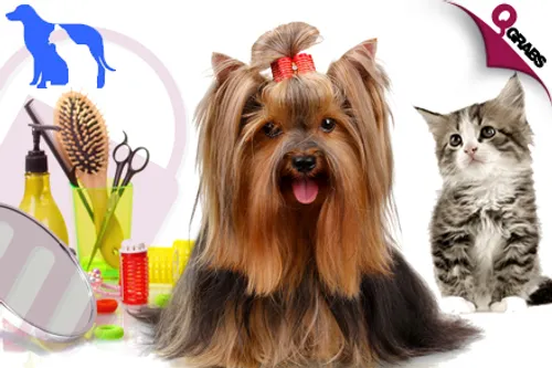 For QR139, Get Your Dog or Cat Vaccinated with Consultation OR for QR149 Dogs/QR239 Cats, Pamper their Paws with a Grooming Session! (Up to QR525 Value)